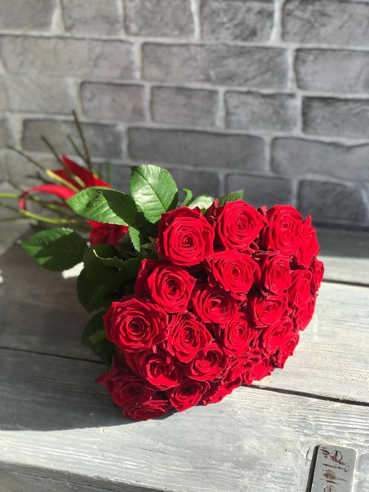 Букет Красные розы Фридом в Некрасовке Хабаровский край
