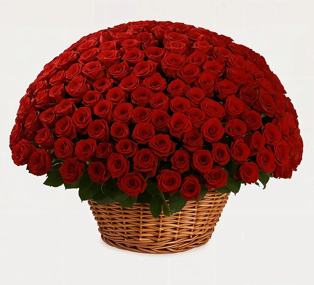 Премиум букет из: Розы в Некрасовке Хабаровский край