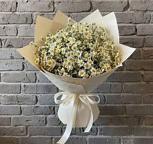 Букет цветов из:  Ромашки #REPLACE_PRED# Некрасовке Хабаровский край