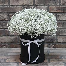 Цветочная композиция из Гипсофила в шляпной коробке в Некрасовке Хабаровский край