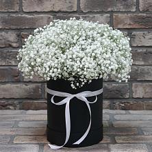 Цветочная композиция из Гипсофила в шляпной коробке в Некрасовке Хабаровский край