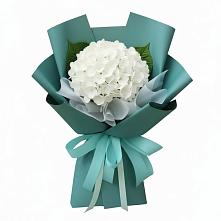 Букет цветов из:  Гортензия в Некрасовке Хабаровский край